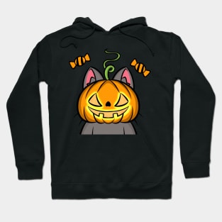 Halloween Costume Cats : Pumkin Hoodie